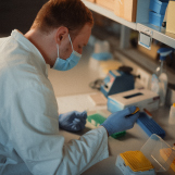 Ein Wissenschaftler verwendet eine Labormikropipette und führt PCR-Analysen und ELISA-Immunoassays zum Nachweis von Antikörpern durch.