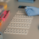 In einem professionellen Labor werden Proben auf CED-Schnelltests aufgetragen, die Auswertung erfolgt mit einem Smartphone.